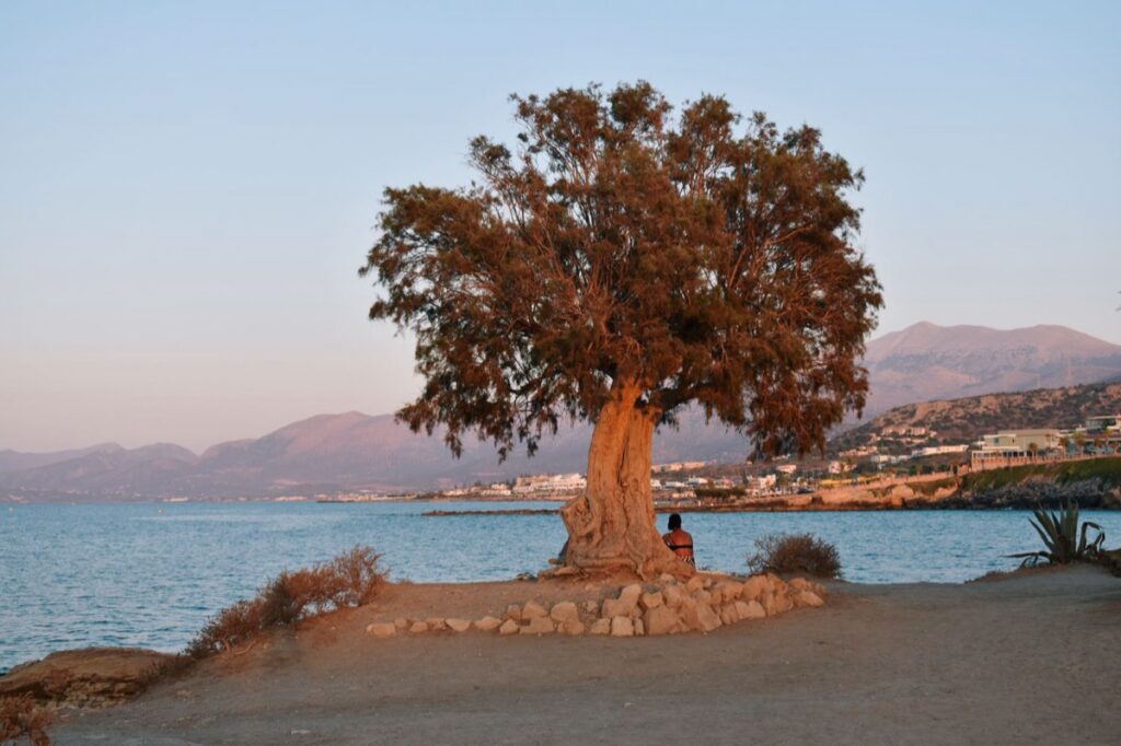 Vakantie Amoudara (Heraklion)