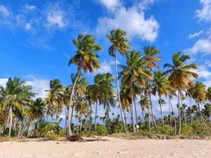 Vakantie Dominicaanse Republiek