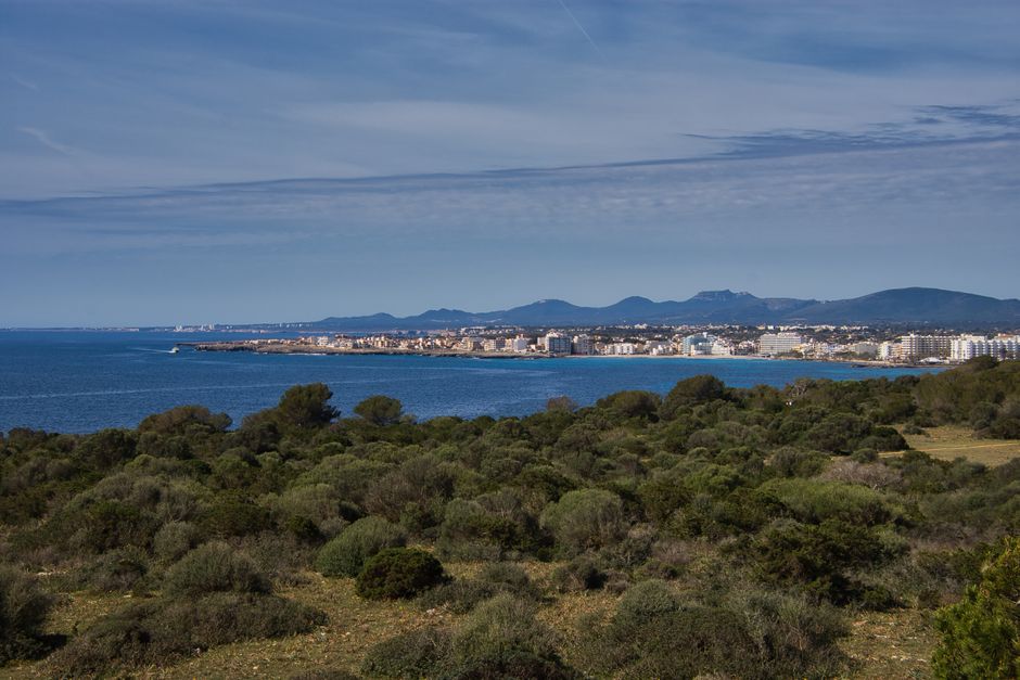 Vakantie Sa Coma